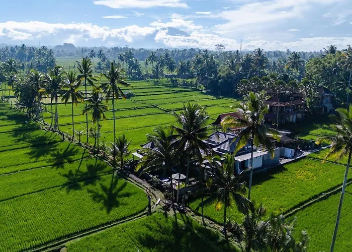 Jasmine Serenity Sunrise #2 Ubud